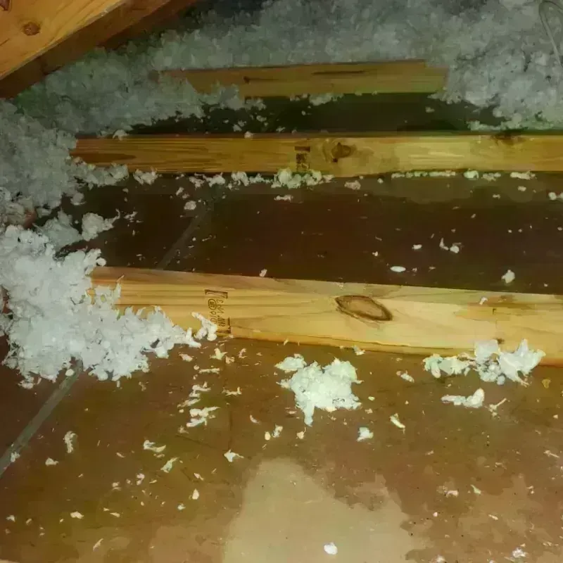 Attic Water Damage in Love County, OK